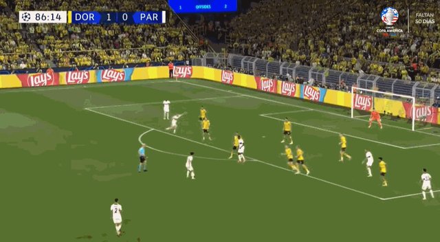 1714599554803065707.gif 法维安.gif